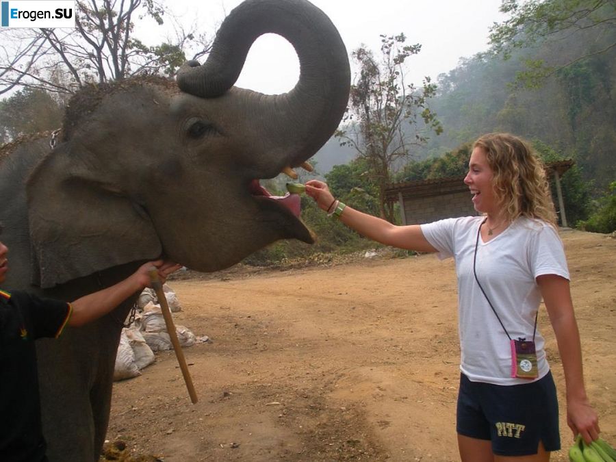 баба заждалась своего принца. Фото 45