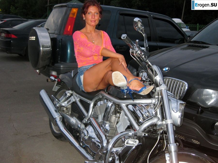 Mature, well-groomed bitch. Photo 8