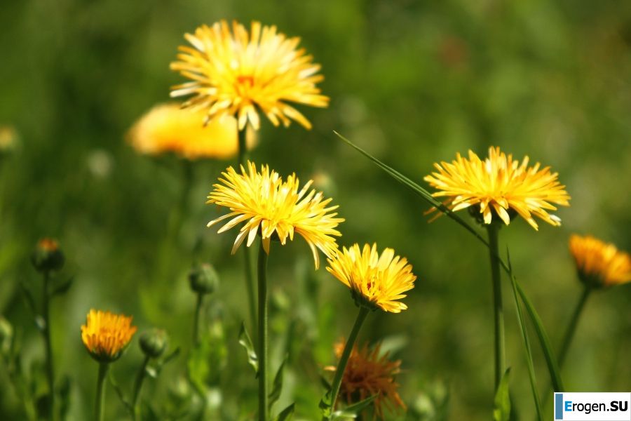 undressed outdoors in front of the photographer. Part 4. Photo 40