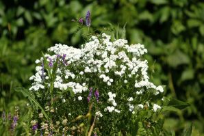 undressed outdoors in front of the photographer. Part 4. Thumb 37