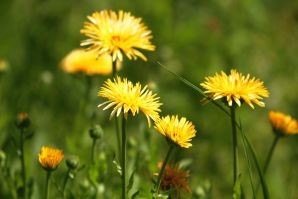 undressed outdoors in front of the photographer. Part 4. Thumb 40