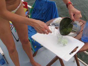 girls are only topless friends. Thumb 22