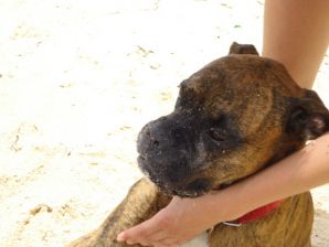 Лесби на отдыхе с друганом. Часть 3. Эскиз 37