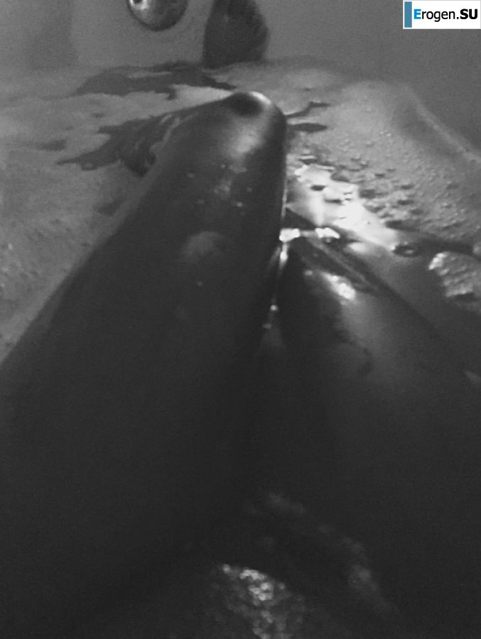 недотраханная лезби негритянка. Часть 3. Фото 29