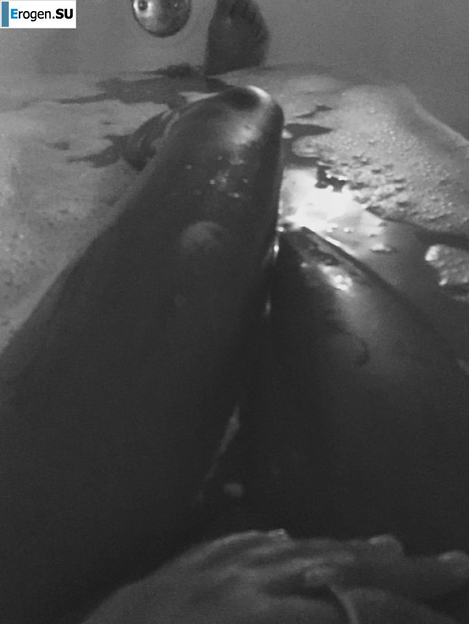 недотраханная лезби негритянка. Часть 3. Фото 30