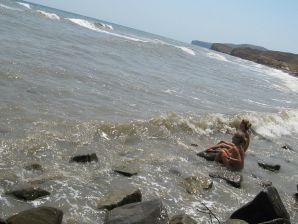 Девушка разделась в компании отдыхающих и показала отличную фигуру. Эскиз 52