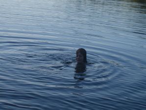 Задорная студентка с мохнатой киской голая купается в озере. Эскиз 5