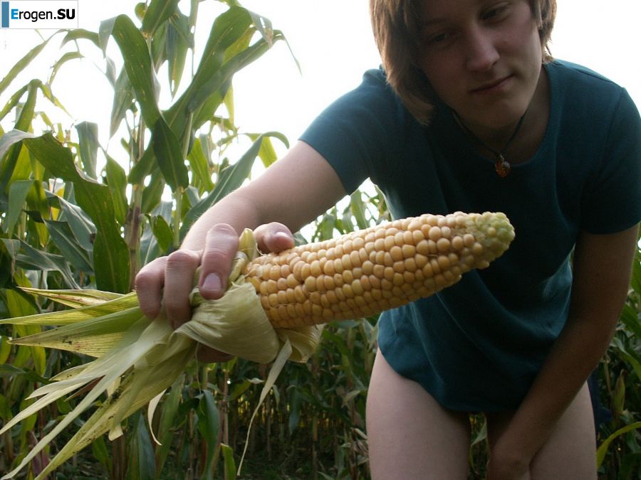 Худенькая студентка ублажает себя кукурузой прямо в поле. Фото 21