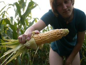 Худенькая студентка ублажает себя кукурузой прямо в поле. Эскиз 21