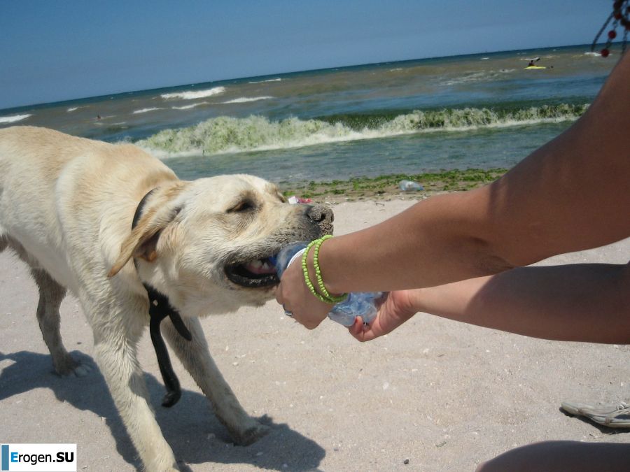 Appetizing chicks of a prostitute arrived on call on Friday night. Part 2. Photo 38