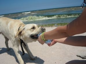 Appetizing chicks of a prostitute arrived on call on Friday night. Part 2. Thumb 38