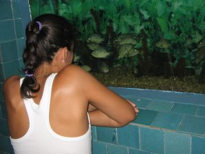 Seductive Latina poses naked on vacation in front of a guy. Part 2. Thumb 39