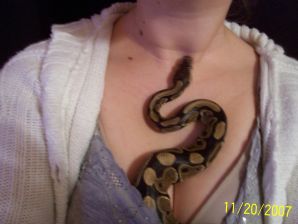 Passionate minx dances striptease in nature with a snake. Thumb 44
