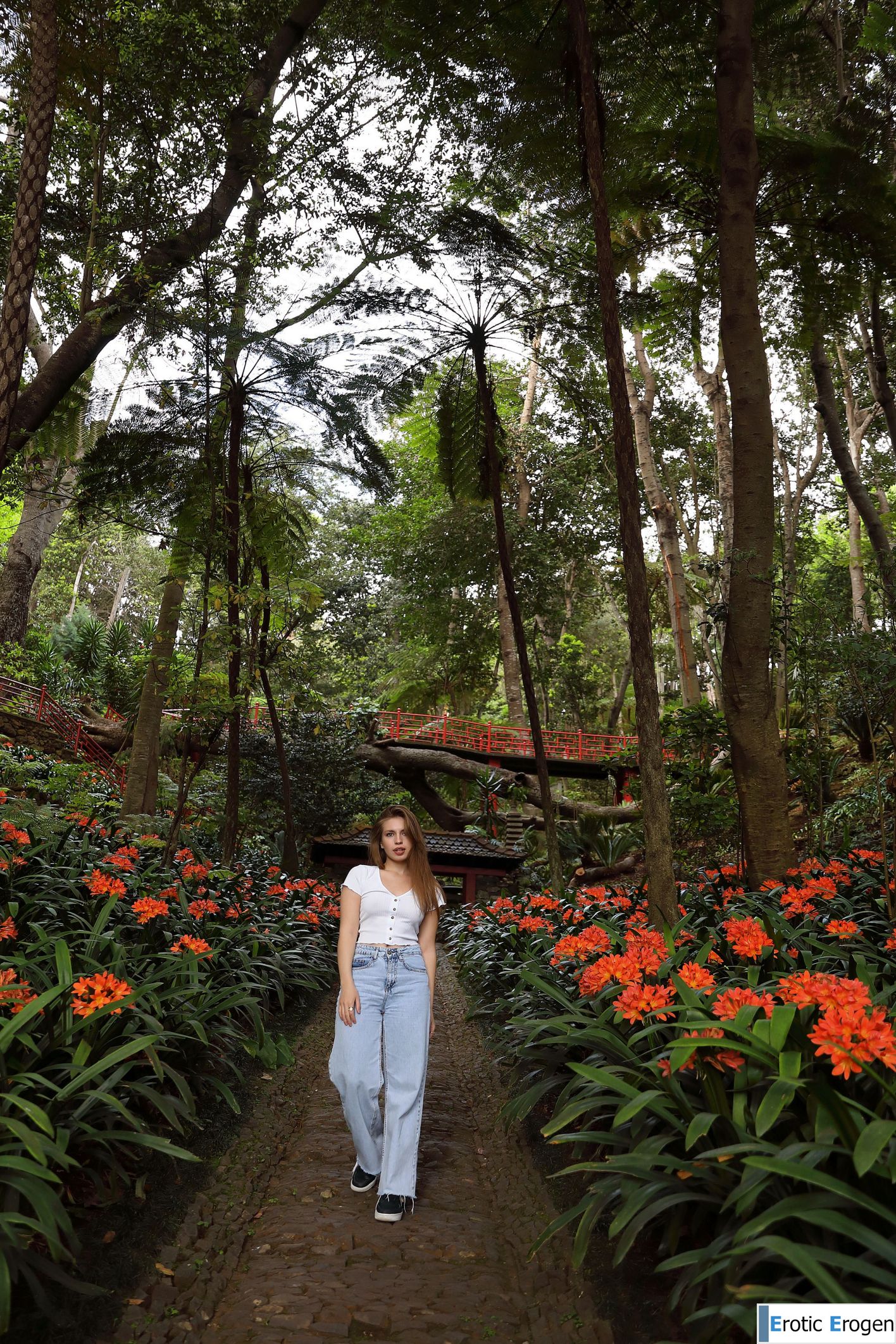 Aristeia in Postcard From Funchal. Фото 23