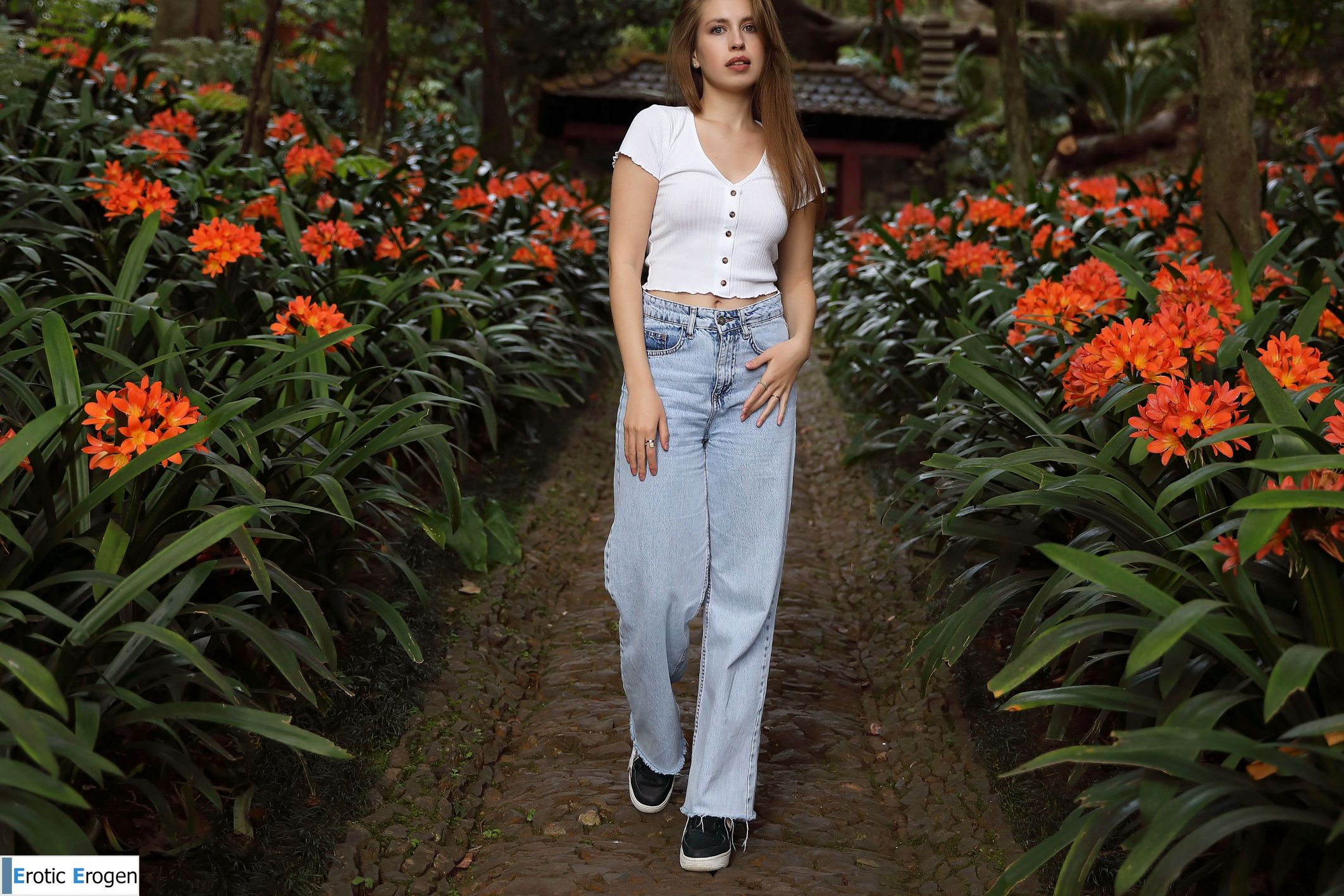 Aristeia in Postcard From Funchal. Фото 25