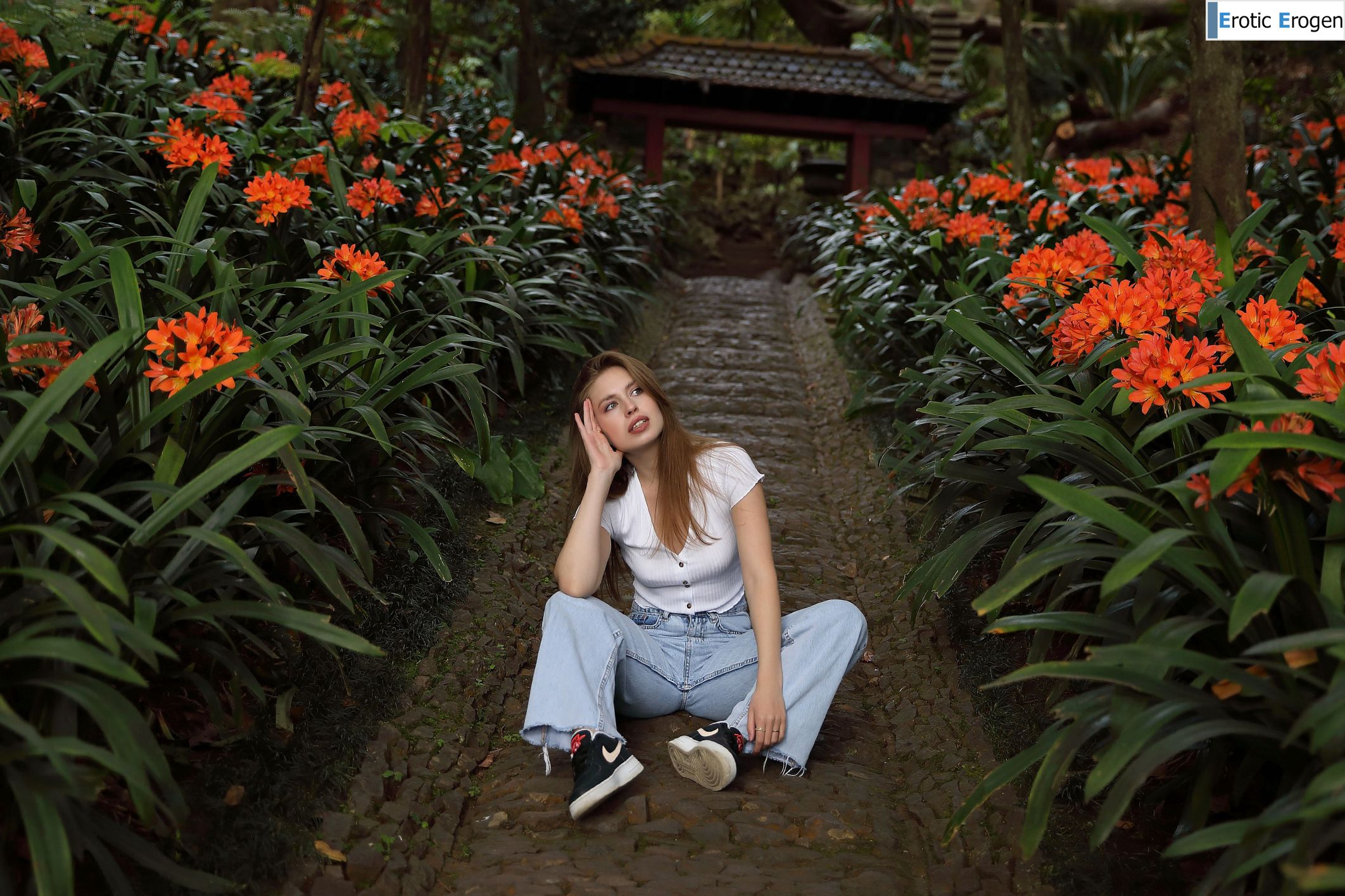 Aristeia in Postcard From Funchal. Фото 28