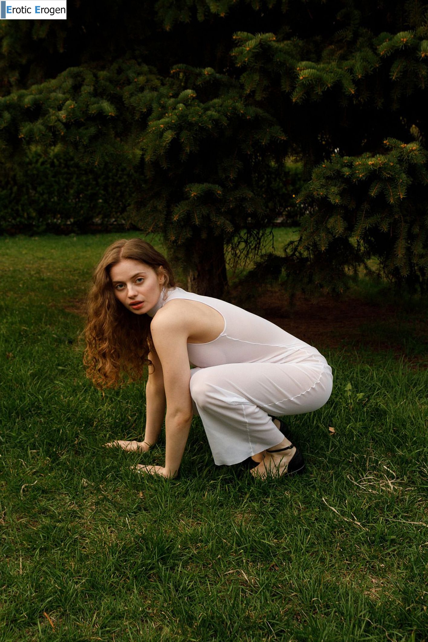 Mitropoliya in Opportunity Ekonomy. Picture 22