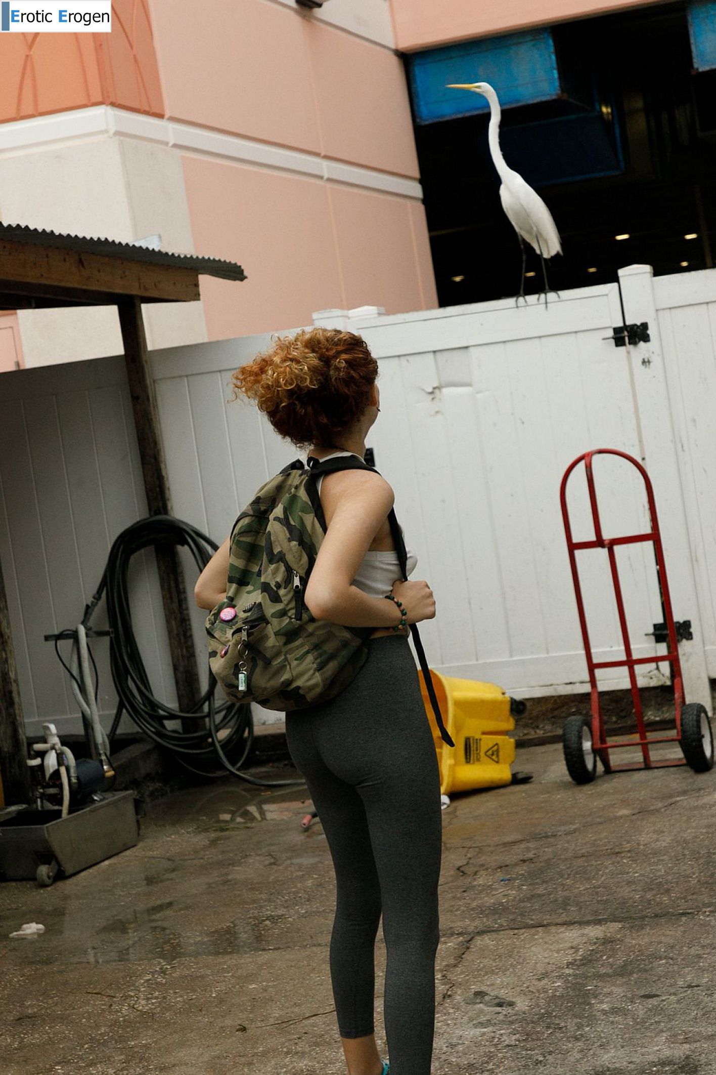 Debra Kenlow in Rare Bird Florida. Picture 7