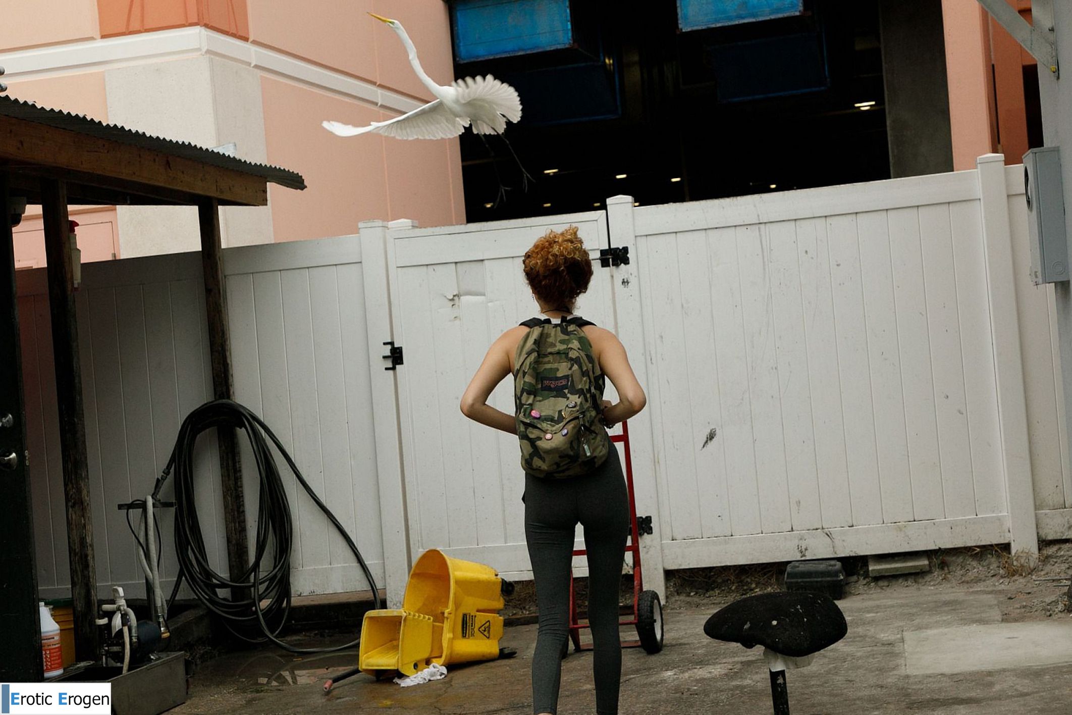 Debra Kenlow in Rare Bird Florida. Picture 8