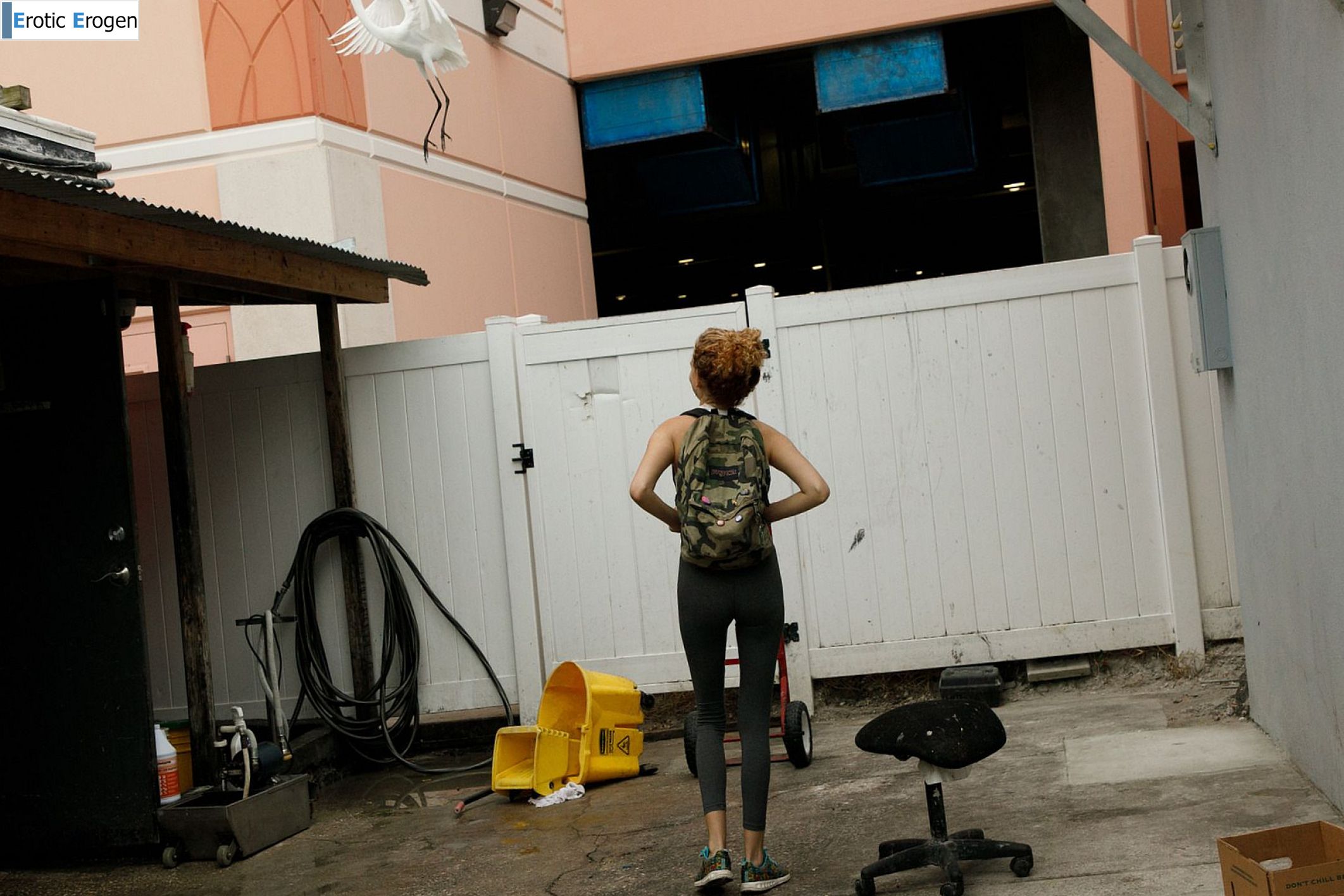 Debra Kenlow in Rare Bird Florida. Picture 9