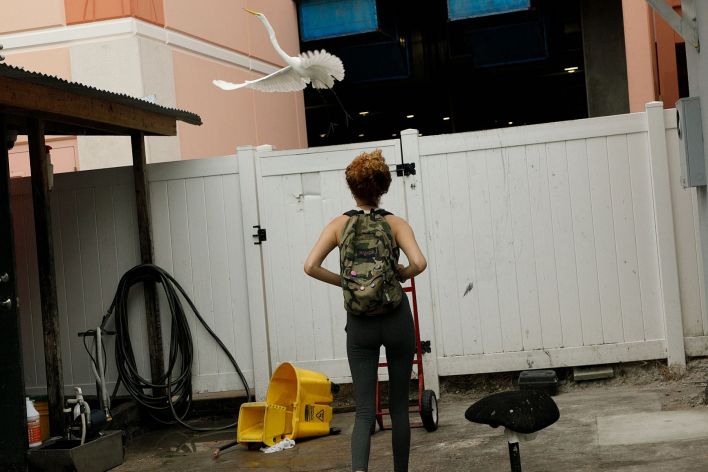 Debra Kenlow in Rare Bird Florida. Thumb 8