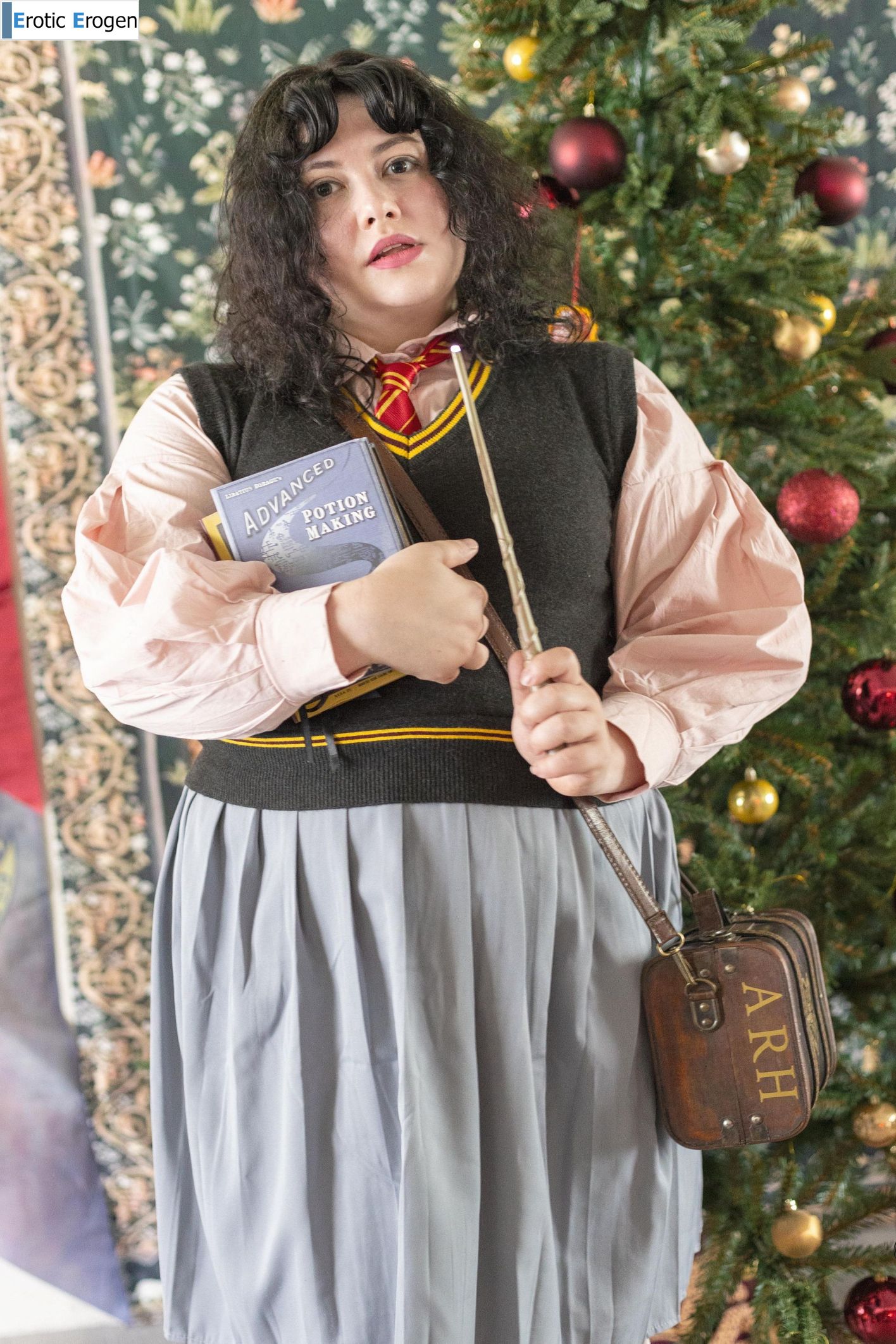 Sycamoris in Christmas In Gryffindor Common Room. Picture 1