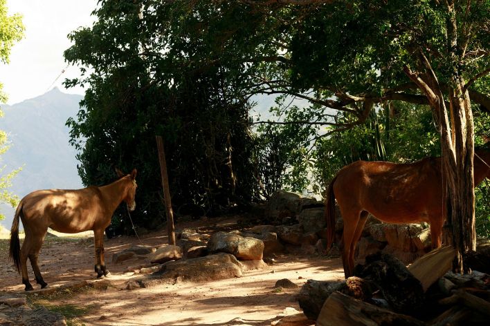 Faith Valles in Faith In Chama. Thumb 1