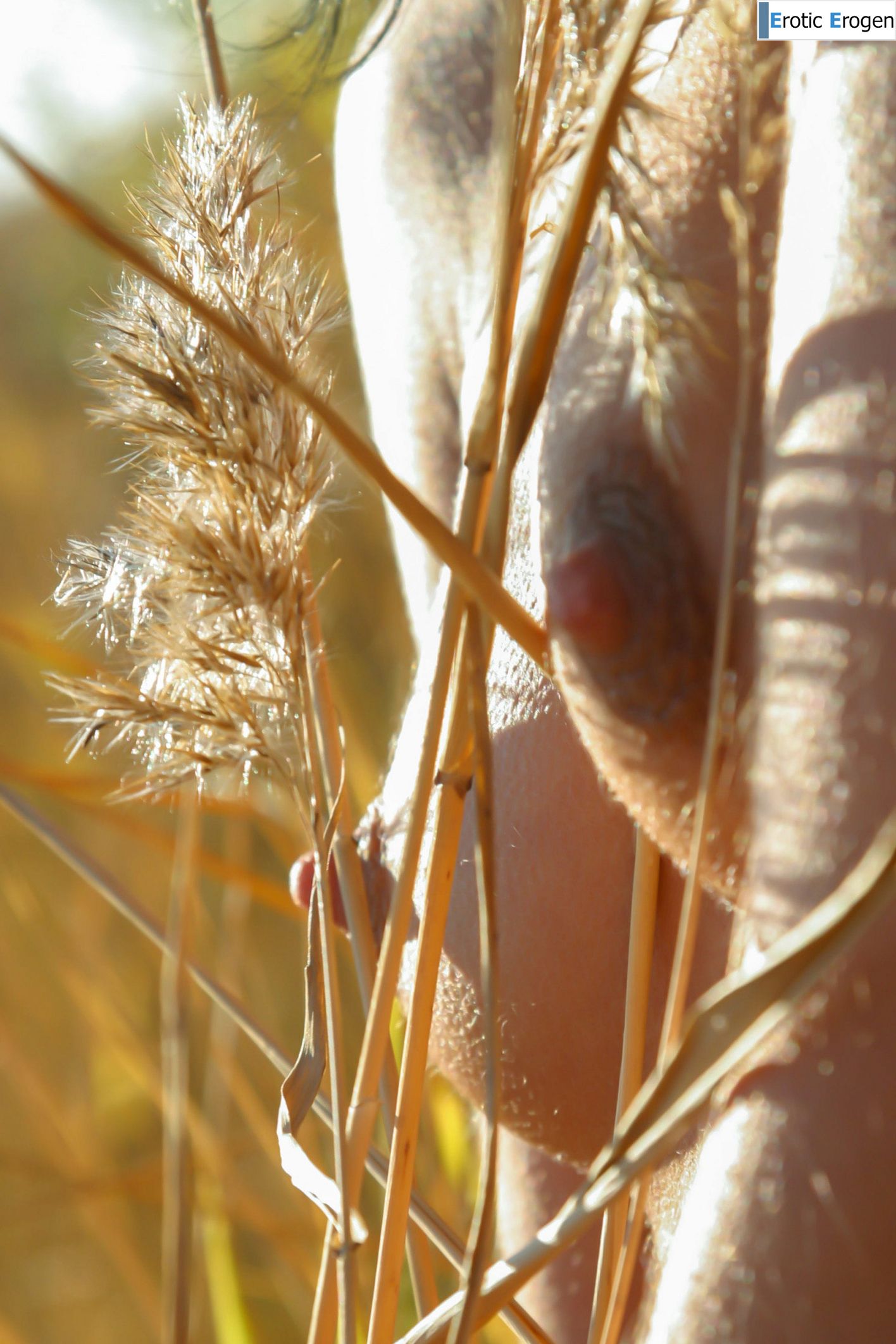 Uriana Z in Dry Branches. Picture 36