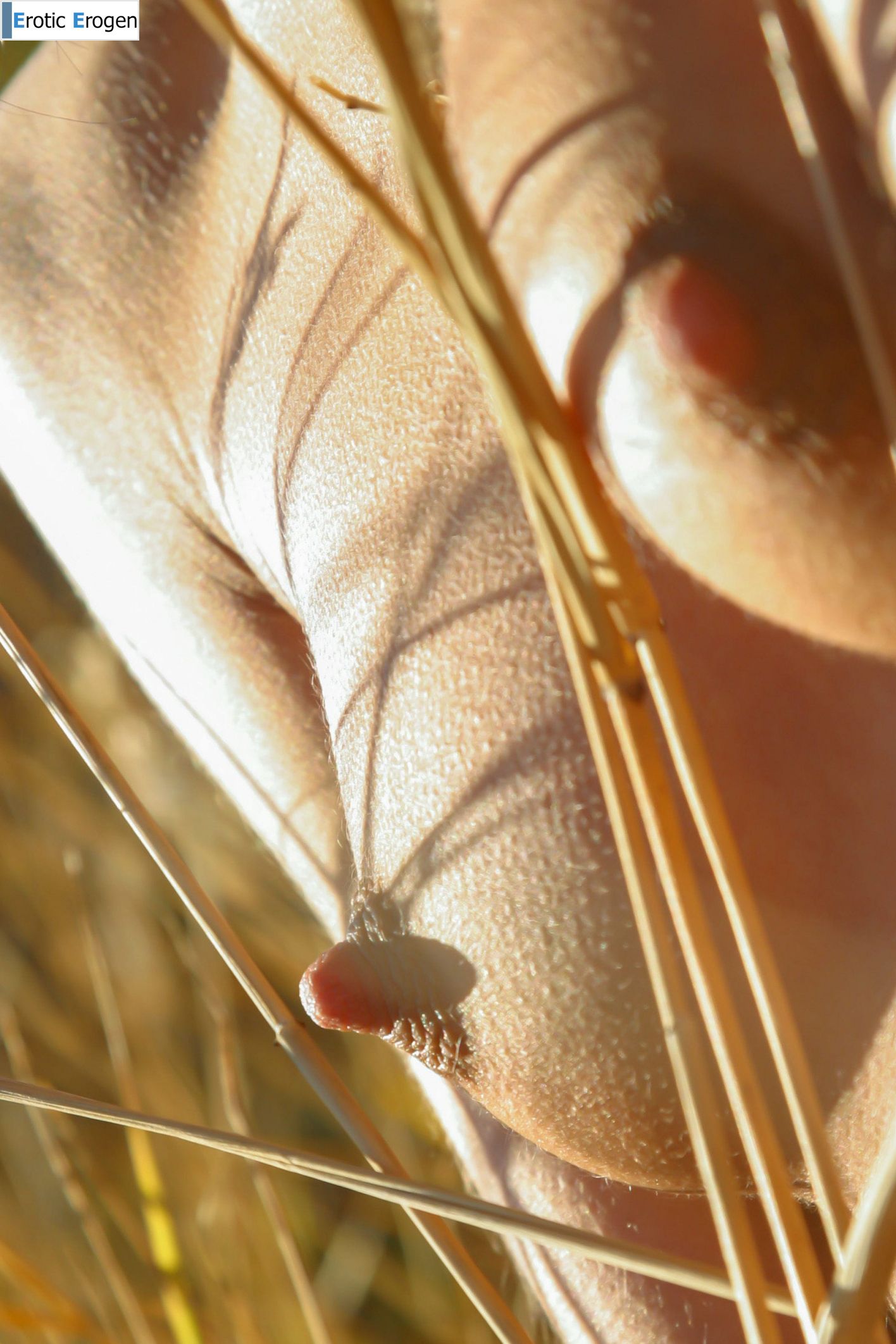 Uriana Z in Dry Branches. Picture 37