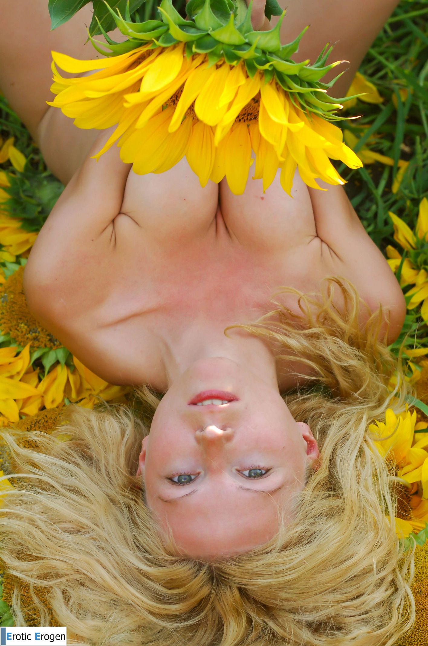 Hypatia K in Big Sunflowers. Picture 23