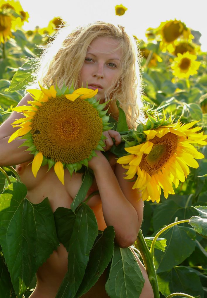 Hypatia K in Big Sunflowers. Thumb 46