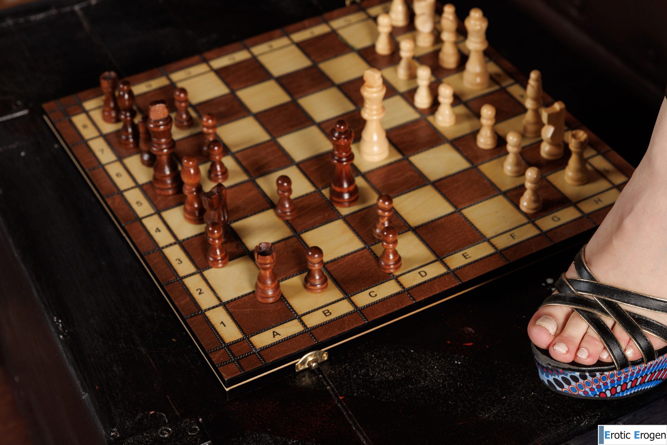 Mary Greenwald in Chess. Picture 16