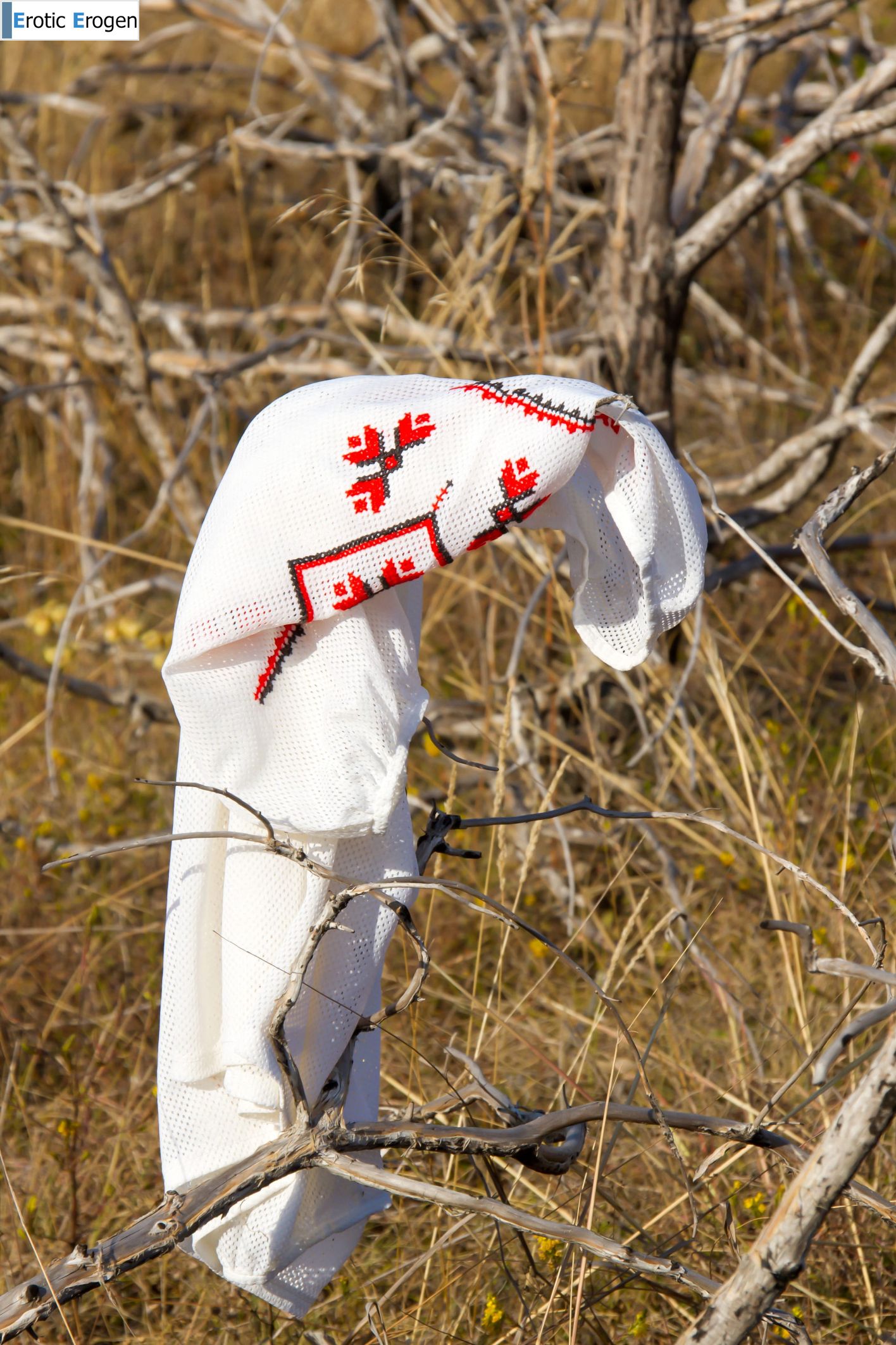 Adrienne in Early In The Morning. Picture 33