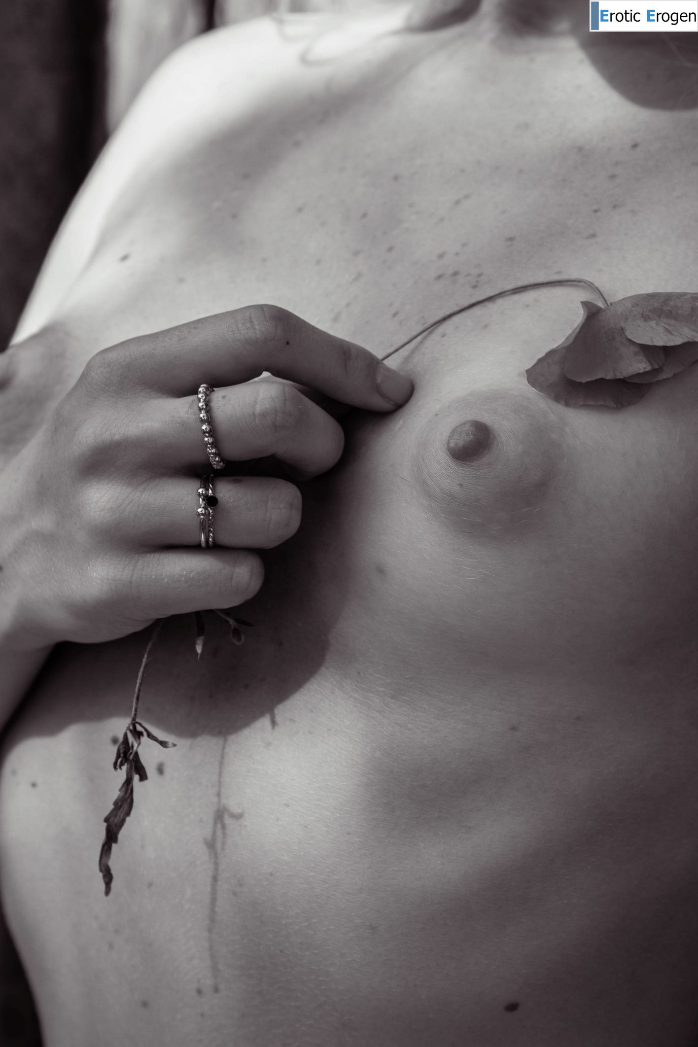 Bella Spark in Sun Shadows. Фото 39