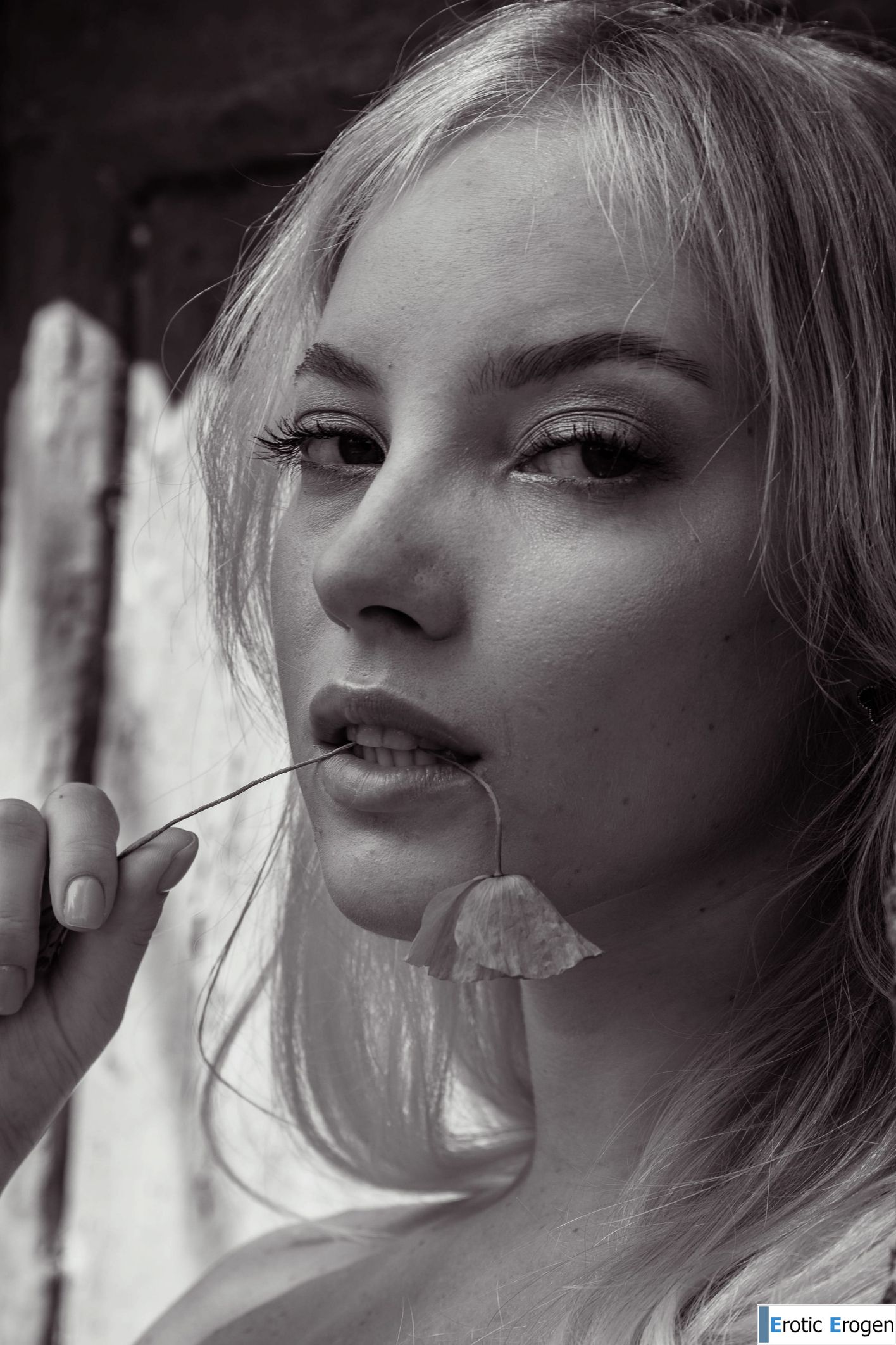 Bella Spark in Sun Shadows. Фото 40