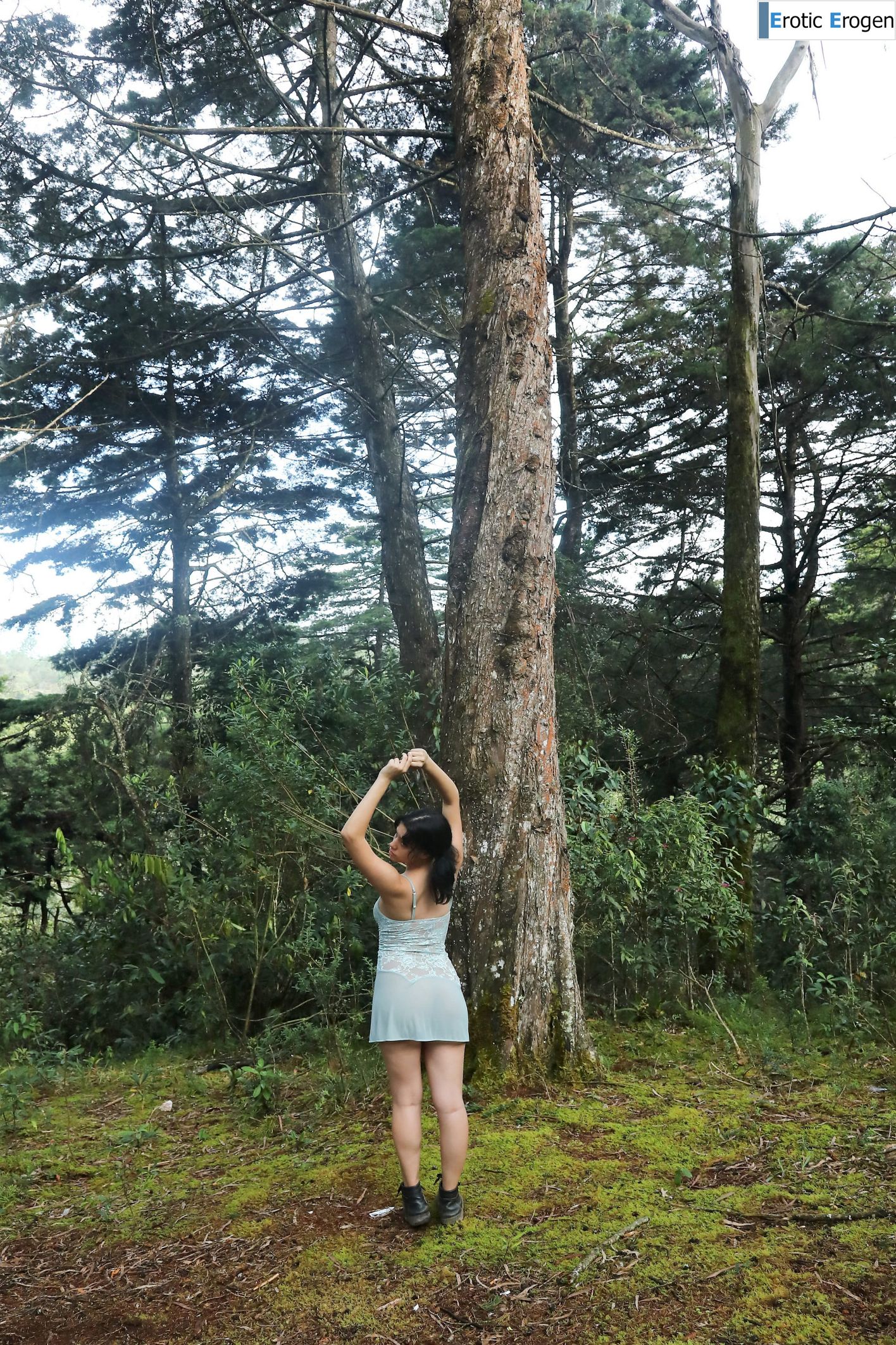Cazadora in In The Trees. Picture 11