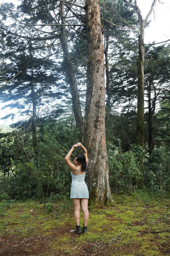 Cazadora in In The Trees. Thumb 11