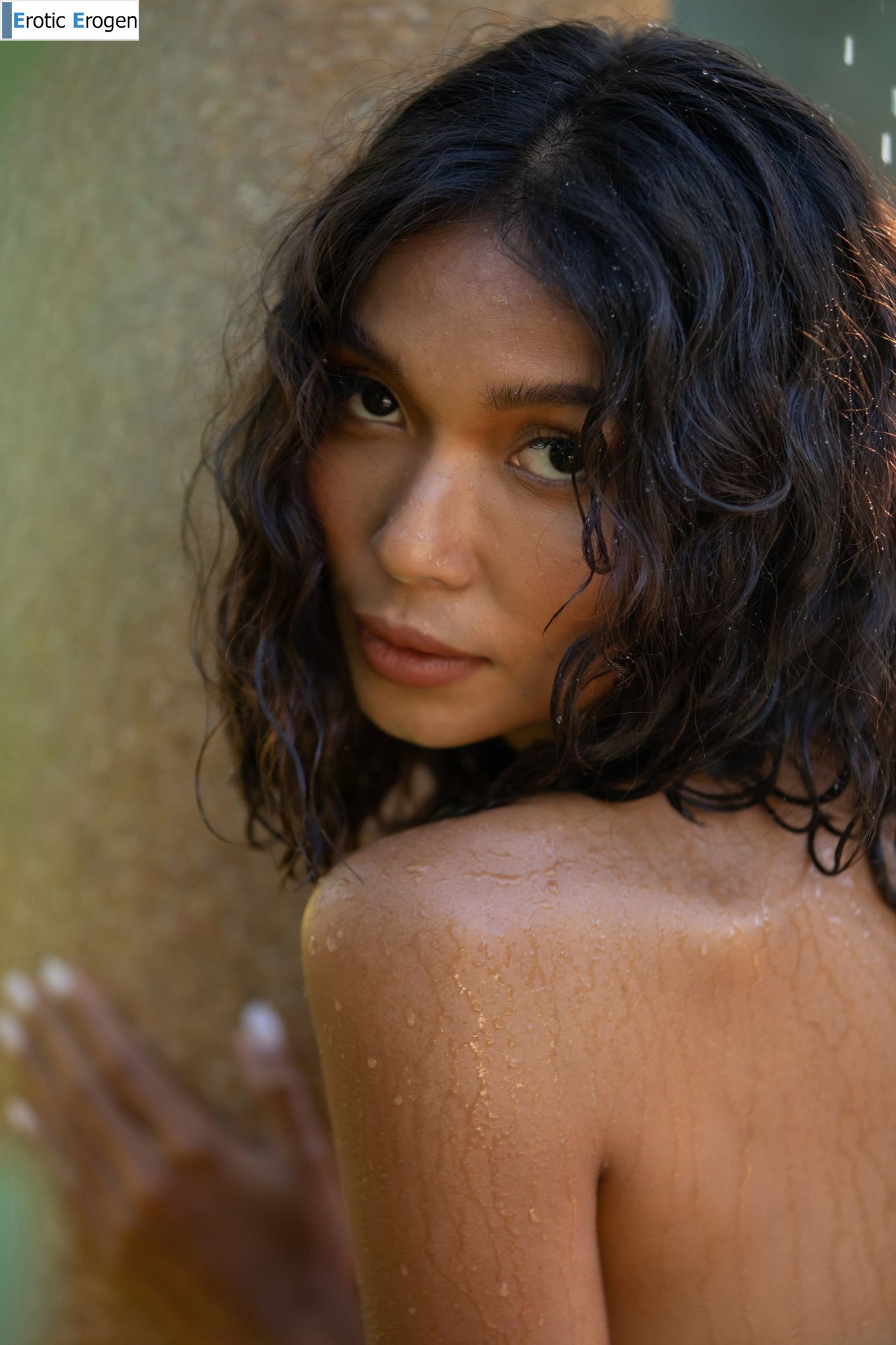 Rose in Tropic Shower. Picture 29