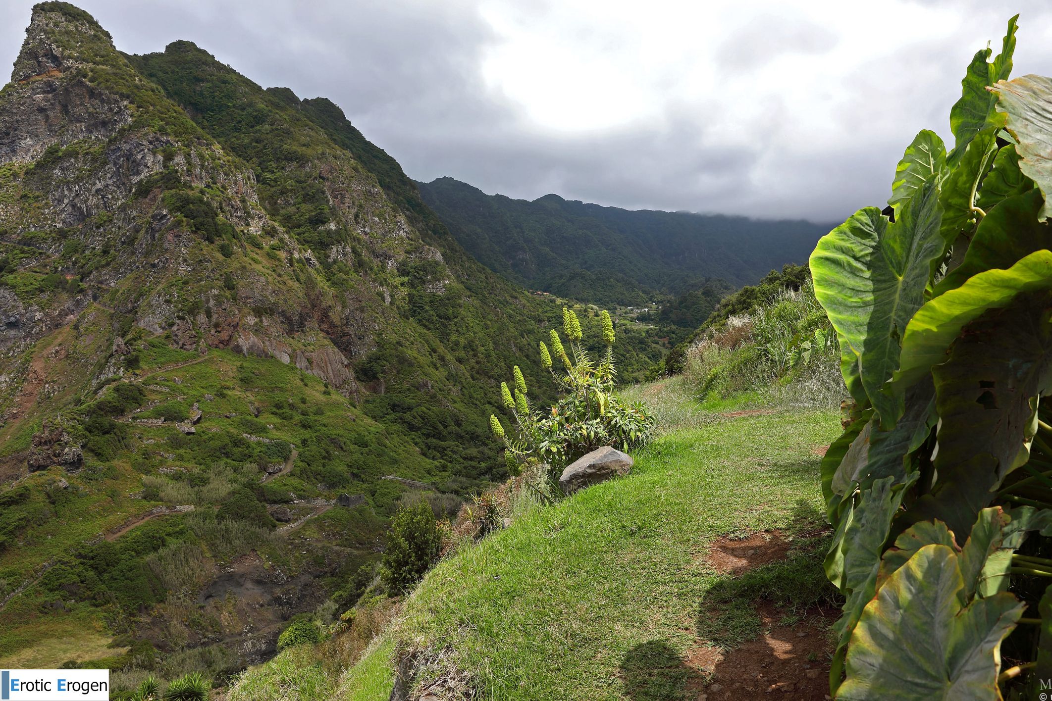 Amelia in Postcard From Madeira. Picture 17