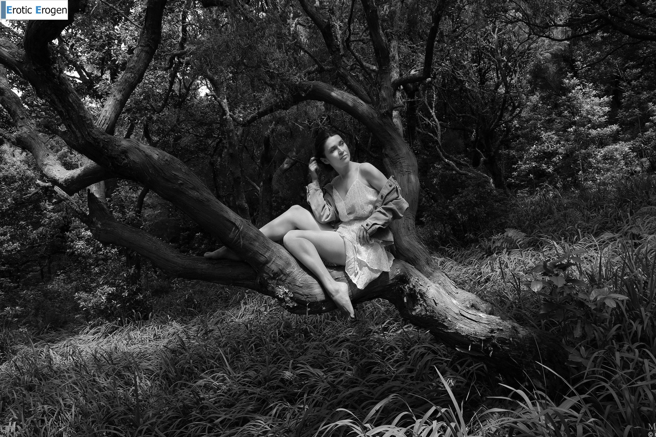 Amelia in Postcard From Madeira. Picture 6